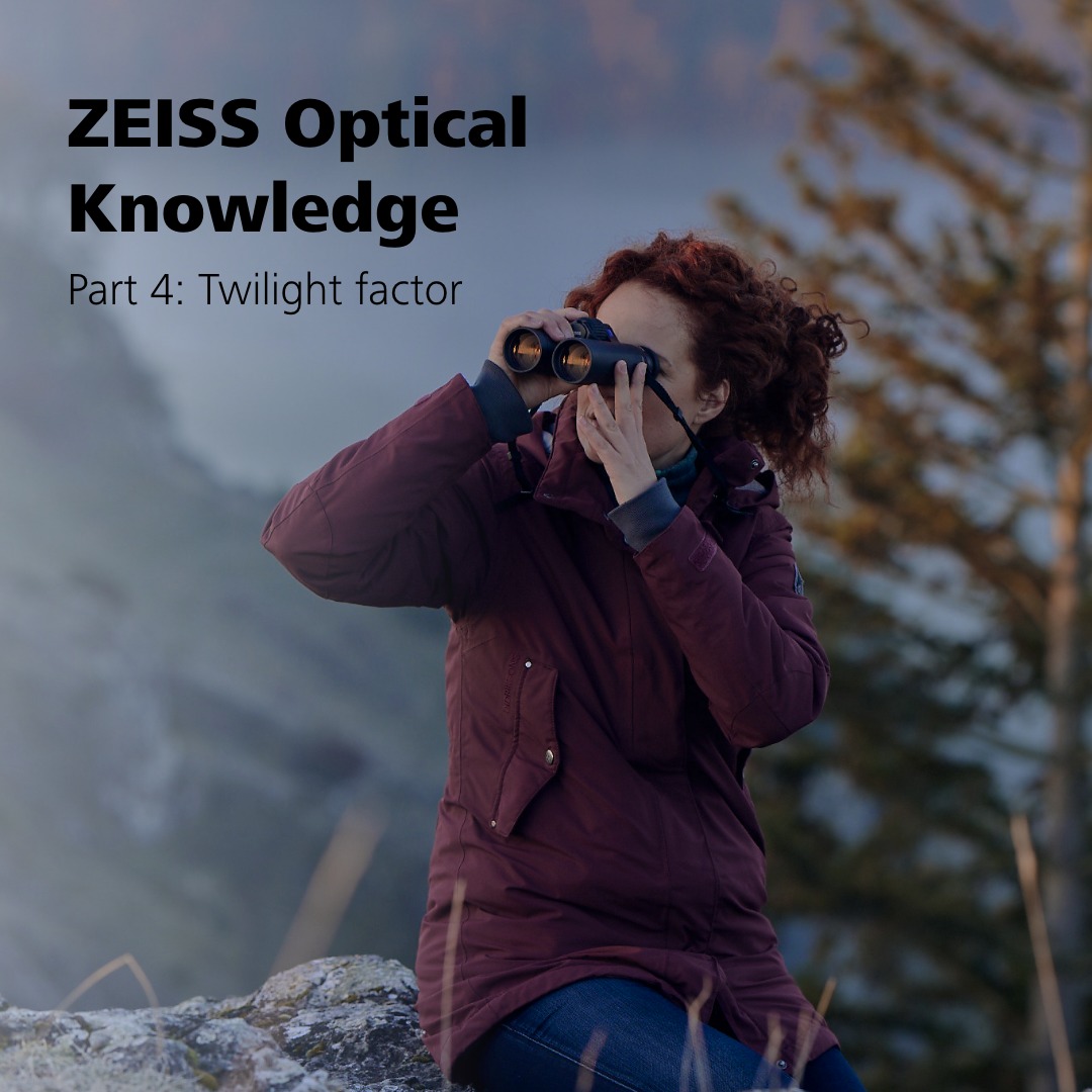 4. Twilight factor (TF)